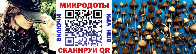 Купить закладки  Арсеньев  Галлюциногенные грибы прущие грибы 